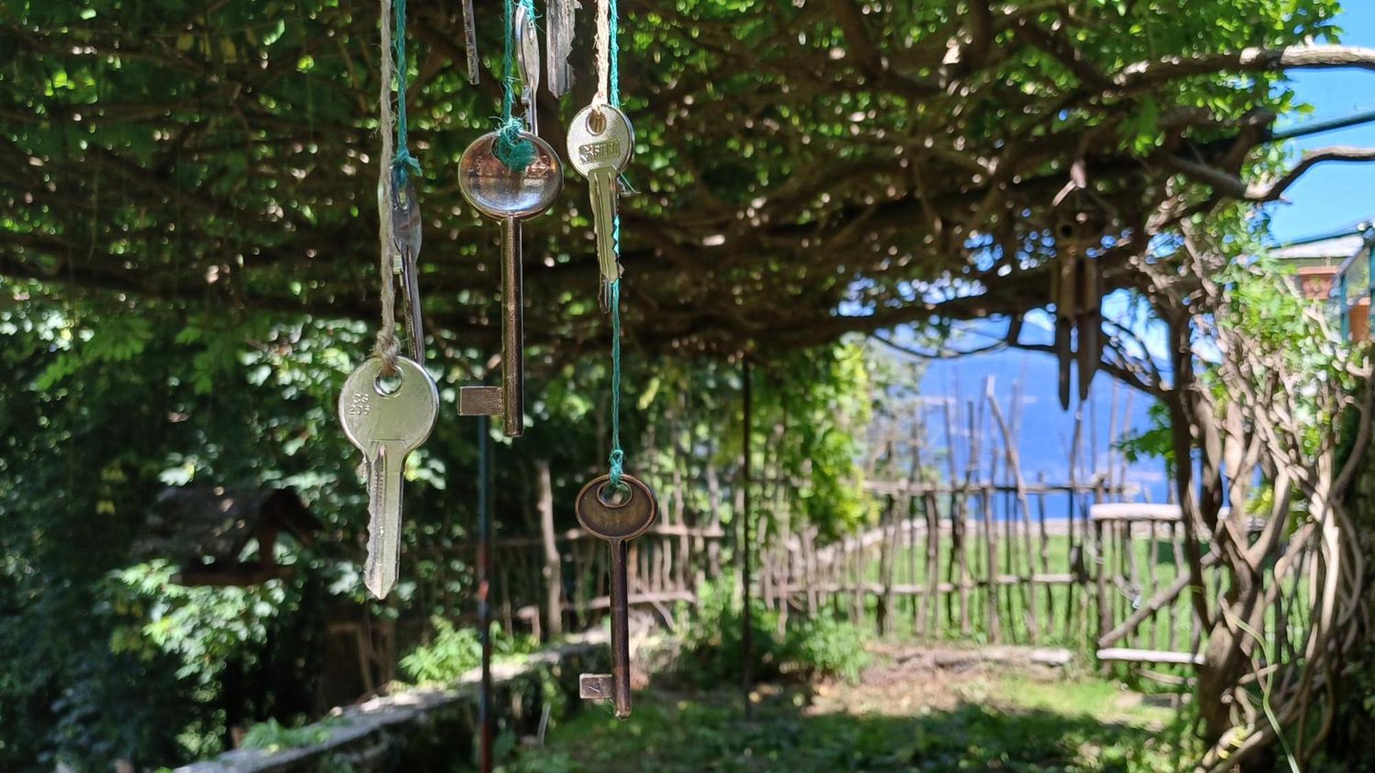 Apartamento La Stanza Del Bosco Arcumeggia Exterior foto